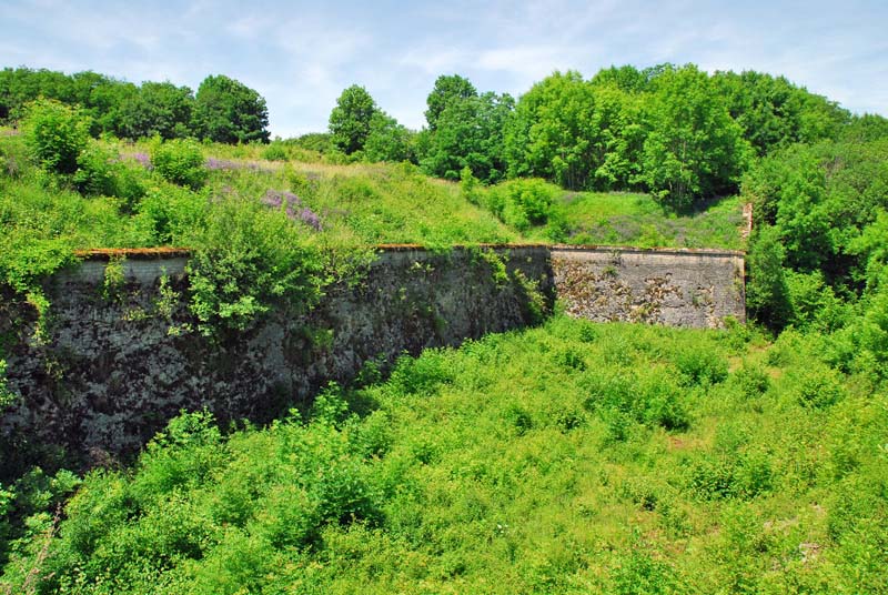 FORT DE LA BONNELLE, Saints-Geosmes - photo 30