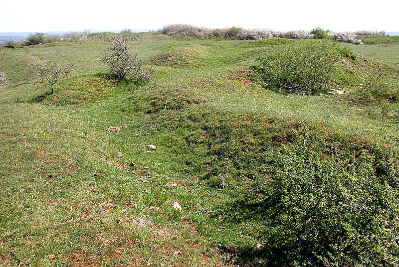 FORT DE LA MARNOTTE, Saints-Geosmes - photo 8