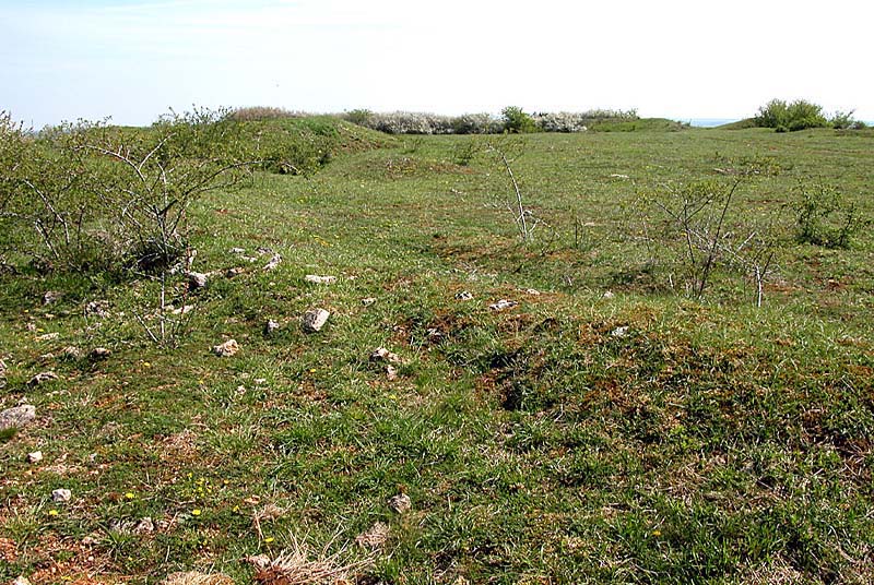 FORT DE LA MARNOTTE, Saints-Geosmes - photo 6