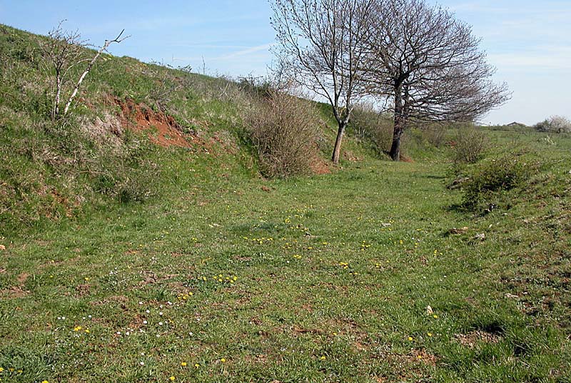 FORT DE LA MARNOTTE, Saints-Geosmes - photo 4