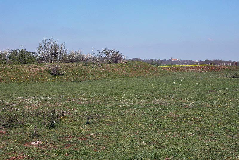 FORT DE LA MARNOTTE, Saints-Geosmes - photo 3