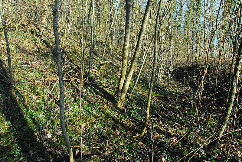 FORT DES FOURCHES, Langres - photo 4