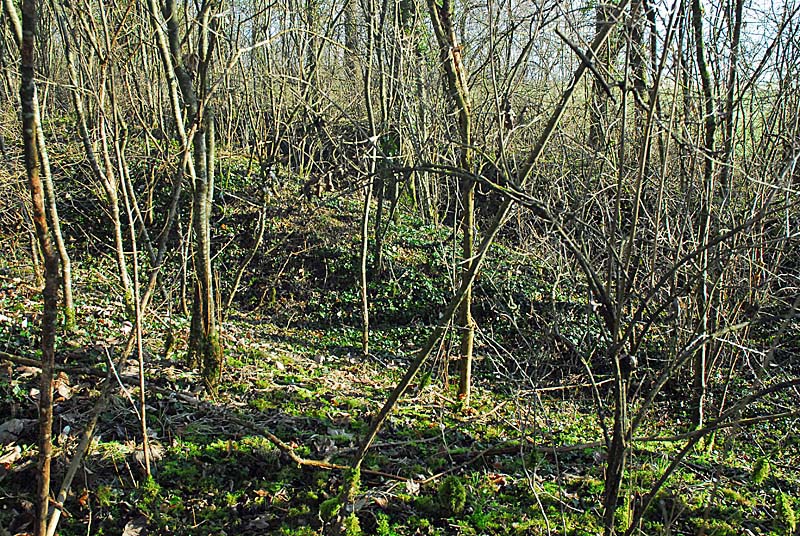 FORT DES FOURCHES, Langres