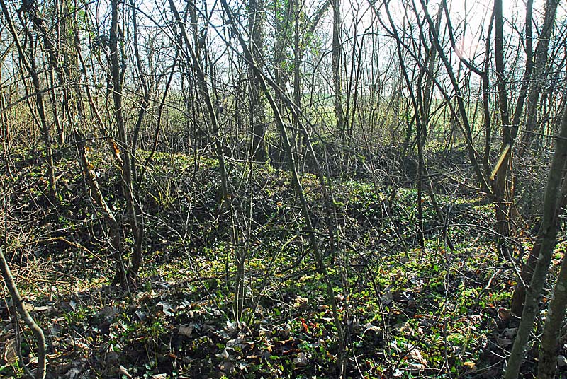 FORT DES FOURCHES, Langres - photo 3