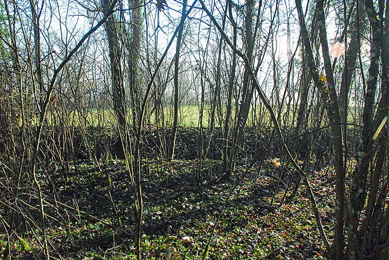 FORT DES FOURCHES, Langres - photo 2