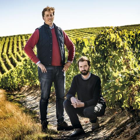 Frères Bonnaire (© Vigneron Magazine 2018)
