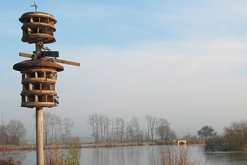 FUYE DE L'ETANG DU BREUIL
