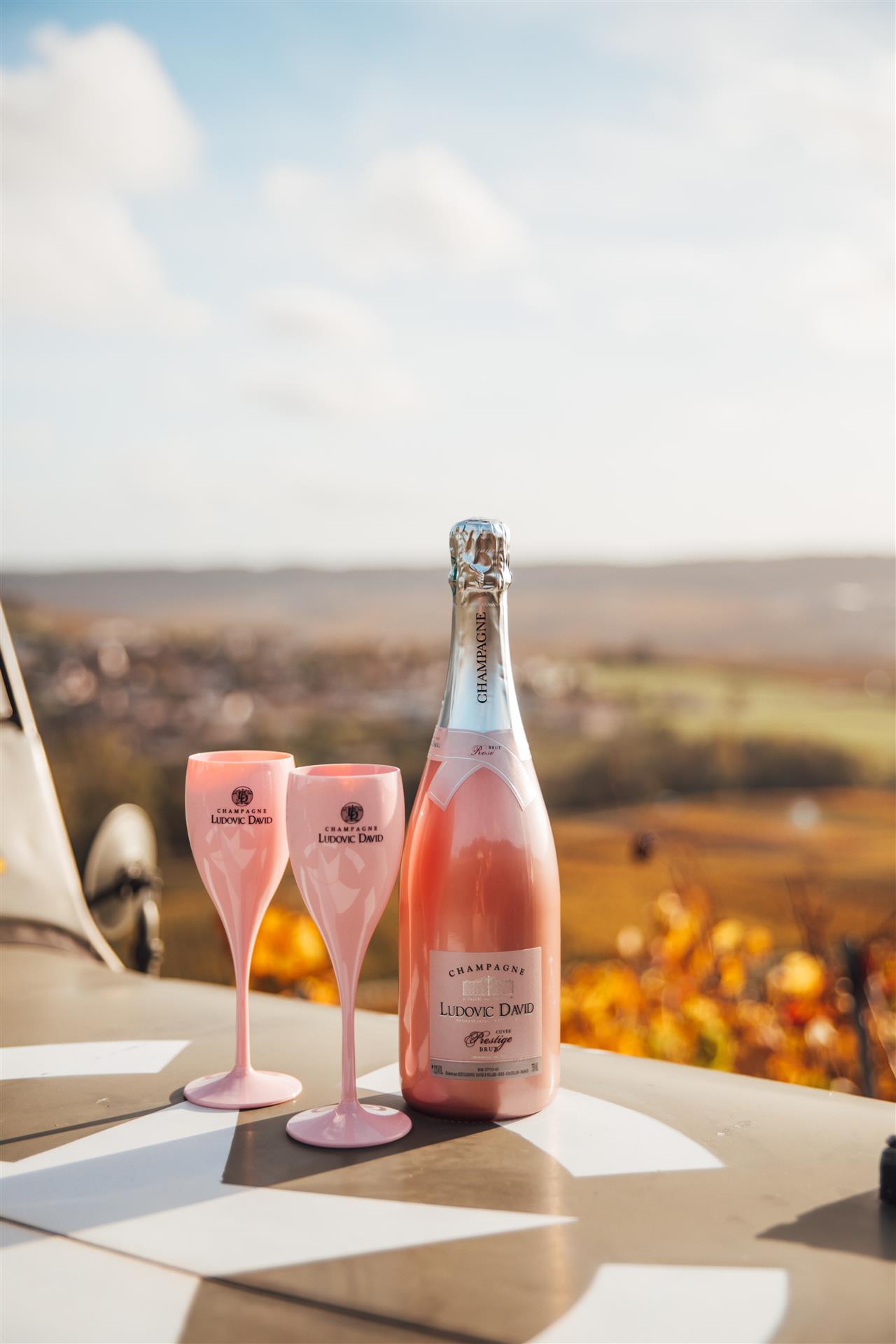 Champagne Ludovic David