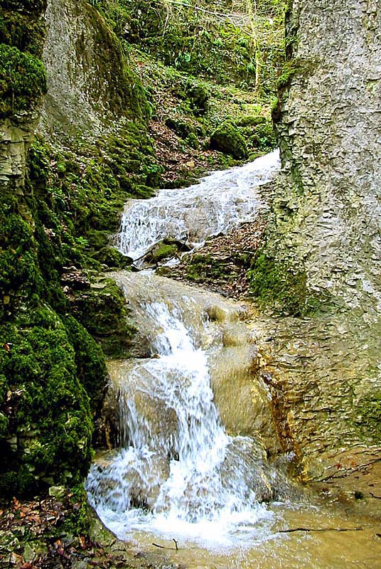 GORGES DE LA VINGEANNE, Aprey - photo 8