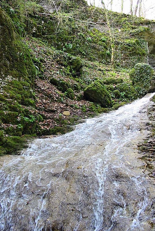 GORGES DE LA VINGEANNE, Aprey - photo 9