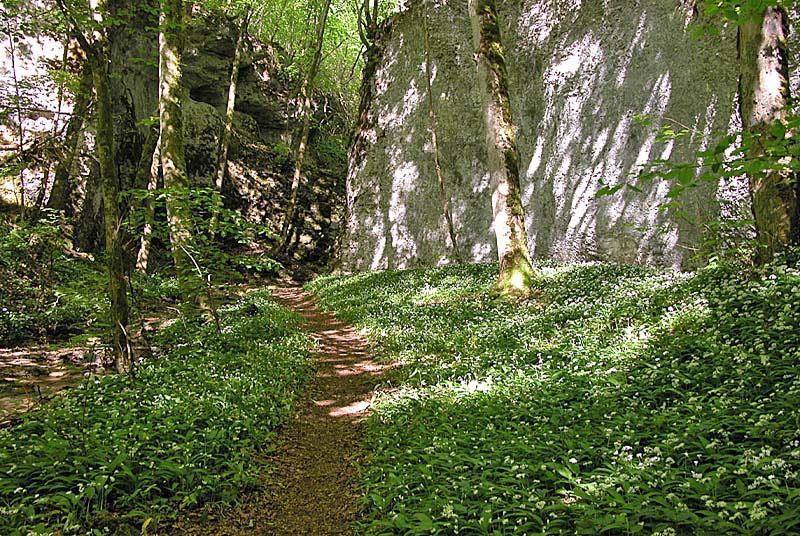 Sentier de découverte du site de la Vingeanne