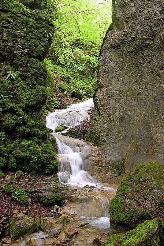 GORGES DE LA VINGEANNE, Aprey - photo 7