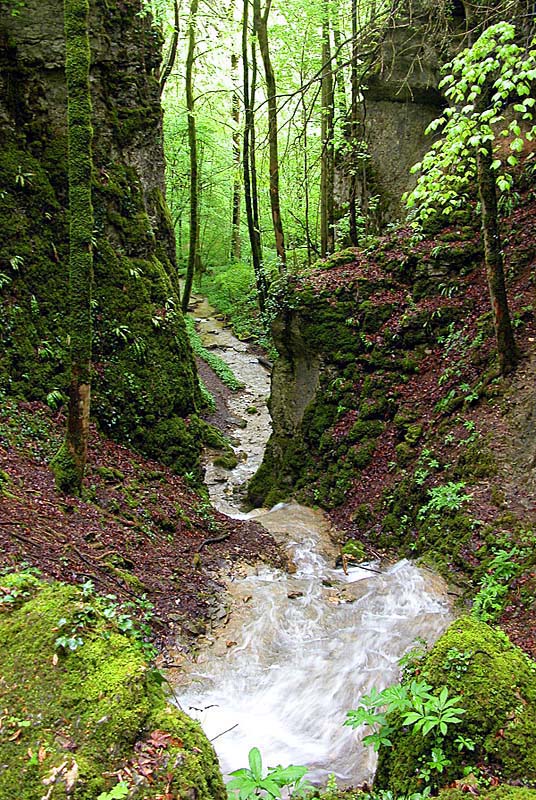 GORGES DE LA VINGEANNE, Aprey - photo 5