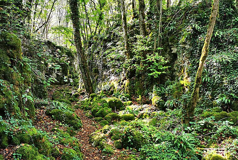GORGES DE SENANCE, Noidant-le-Rocheux - photo 7