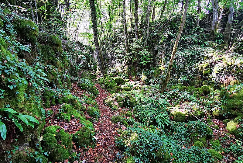 GORGES DE SENANCE, Noidant-le-Rocheux - photo 15