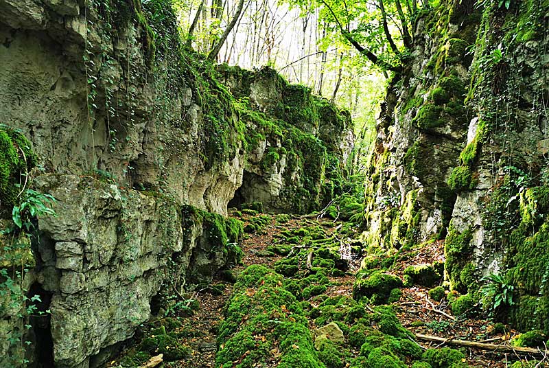 GORGES DE SENANCE, Noidant-le-Rocheux - photo 9