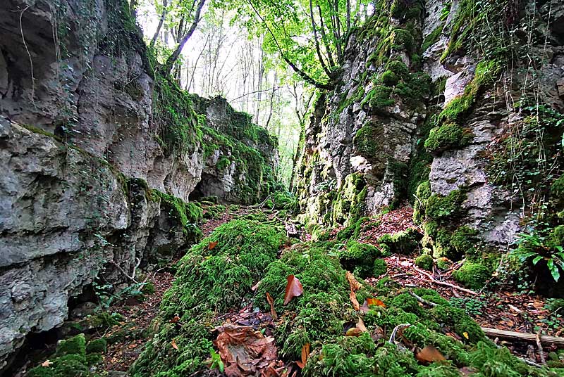 GORGES DE SENANCE, Noidant-le-Rocheux - photo 11