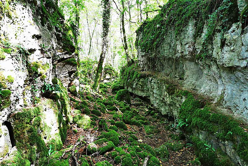 GORGES DE SENANCE, Noidant-le-Rocheux - photo 3