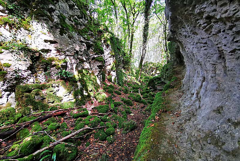 GORGES DE SENANCE, Noidant-le-Rocheux - photo 6