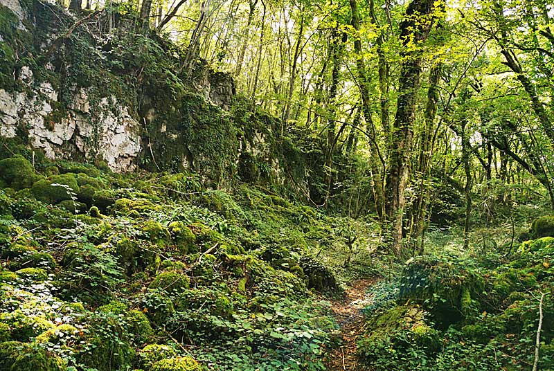 GORGES DE SENANCE, Noidant-le-Rocheux - photo 10