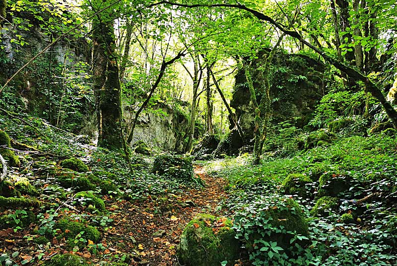 GORGES DE SENANCE, Noidant-le-Rocheux - photo 5