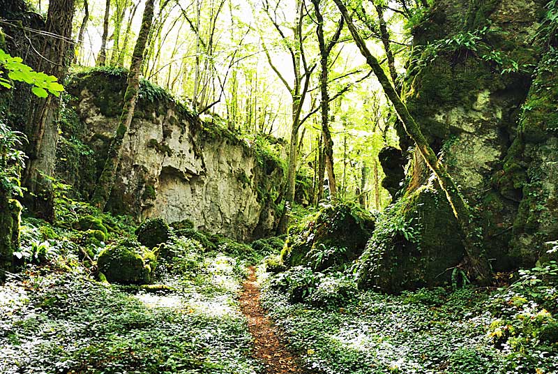 GORGES DE SENANCE, Noidant-le-Rocheux - photo 12