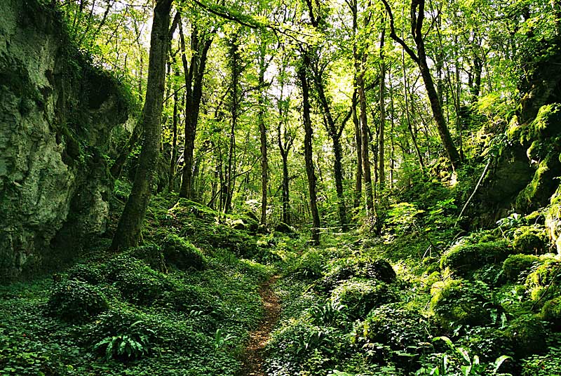 GORGES DE SENANCE, Noidant-le-Rocheux - photo 13