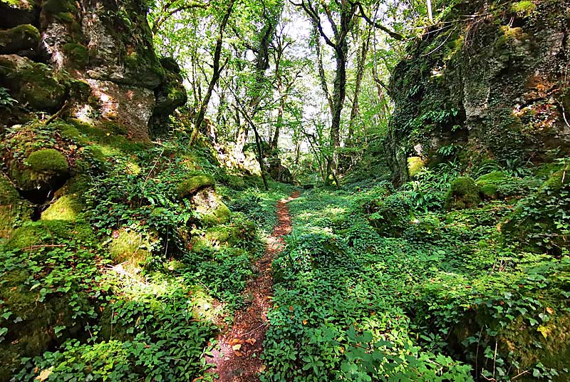 GORGES DE SENANCE, Noidant-le-Rocheux - photo 8
