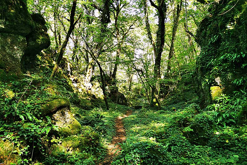 GORGES DE SENANCE, Noidant-le-Rocheux - photo 17