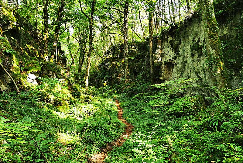 GORGES DE SENANCE, Noidant-le-Rocheux - photo 14