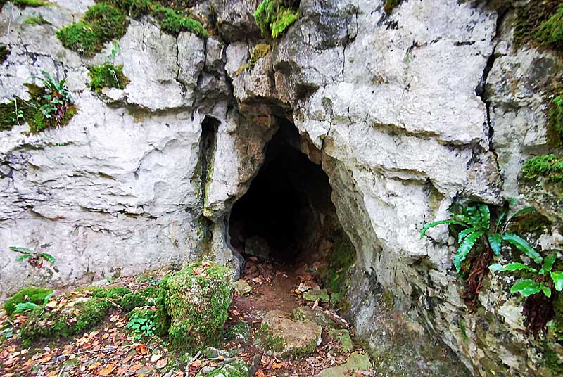 GROTTE DE SENANCE, Noidant-le-Rocheux - photo 2