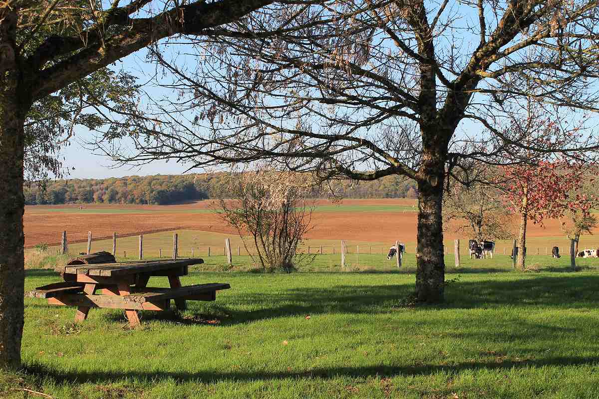 AIRE DE PIQUE-NIQUE - GUINDRECOURT-AUX-ORMES
