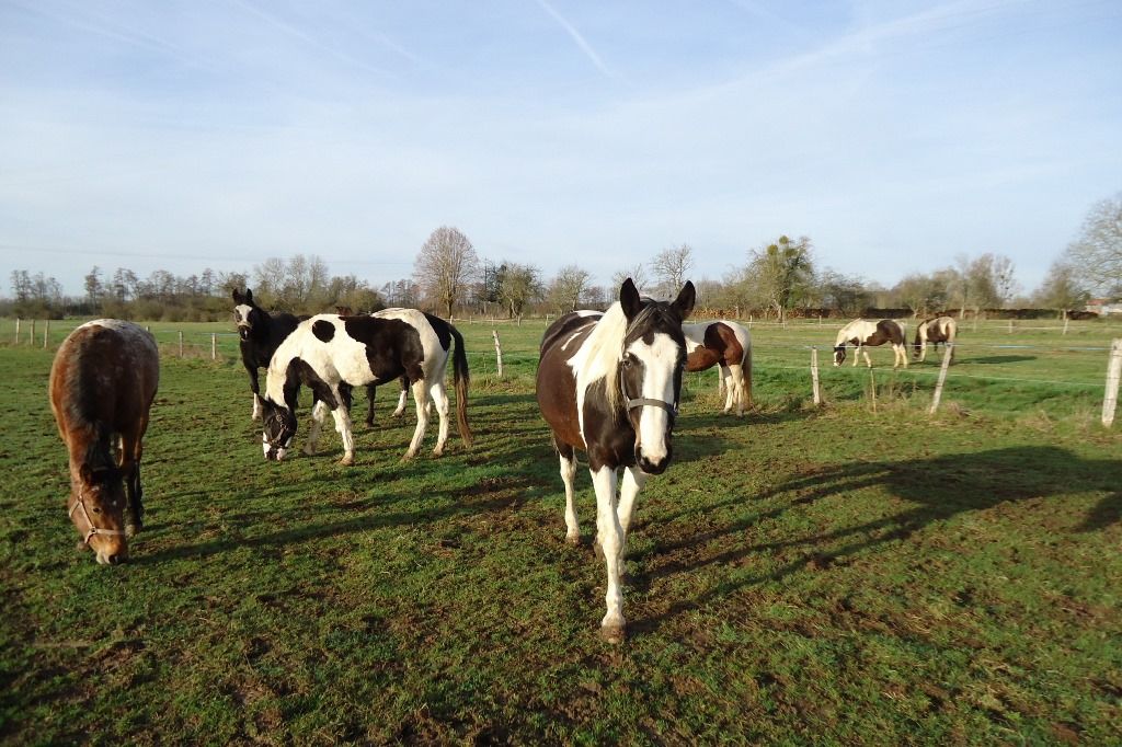 Gîte du Petit Paysan