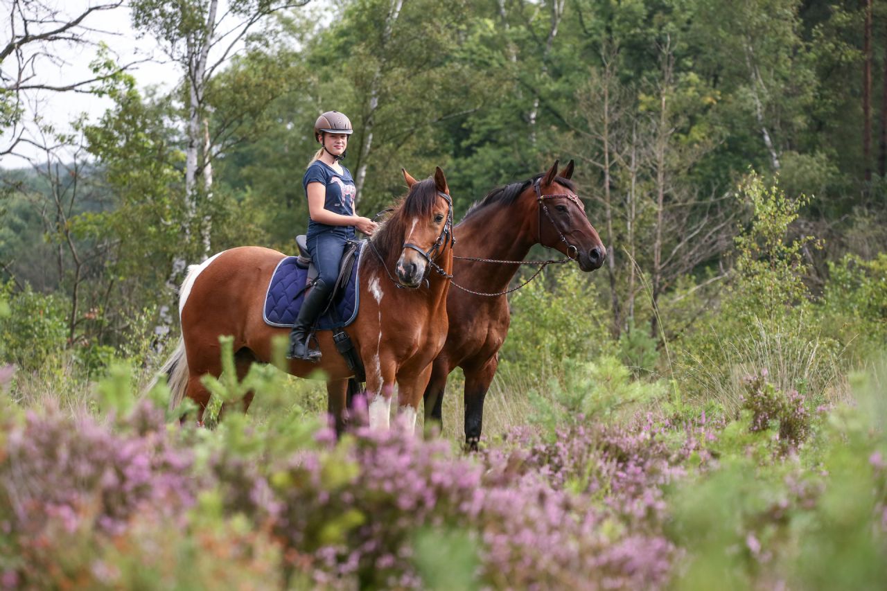 CENTRE EQUESTRE DU PARC