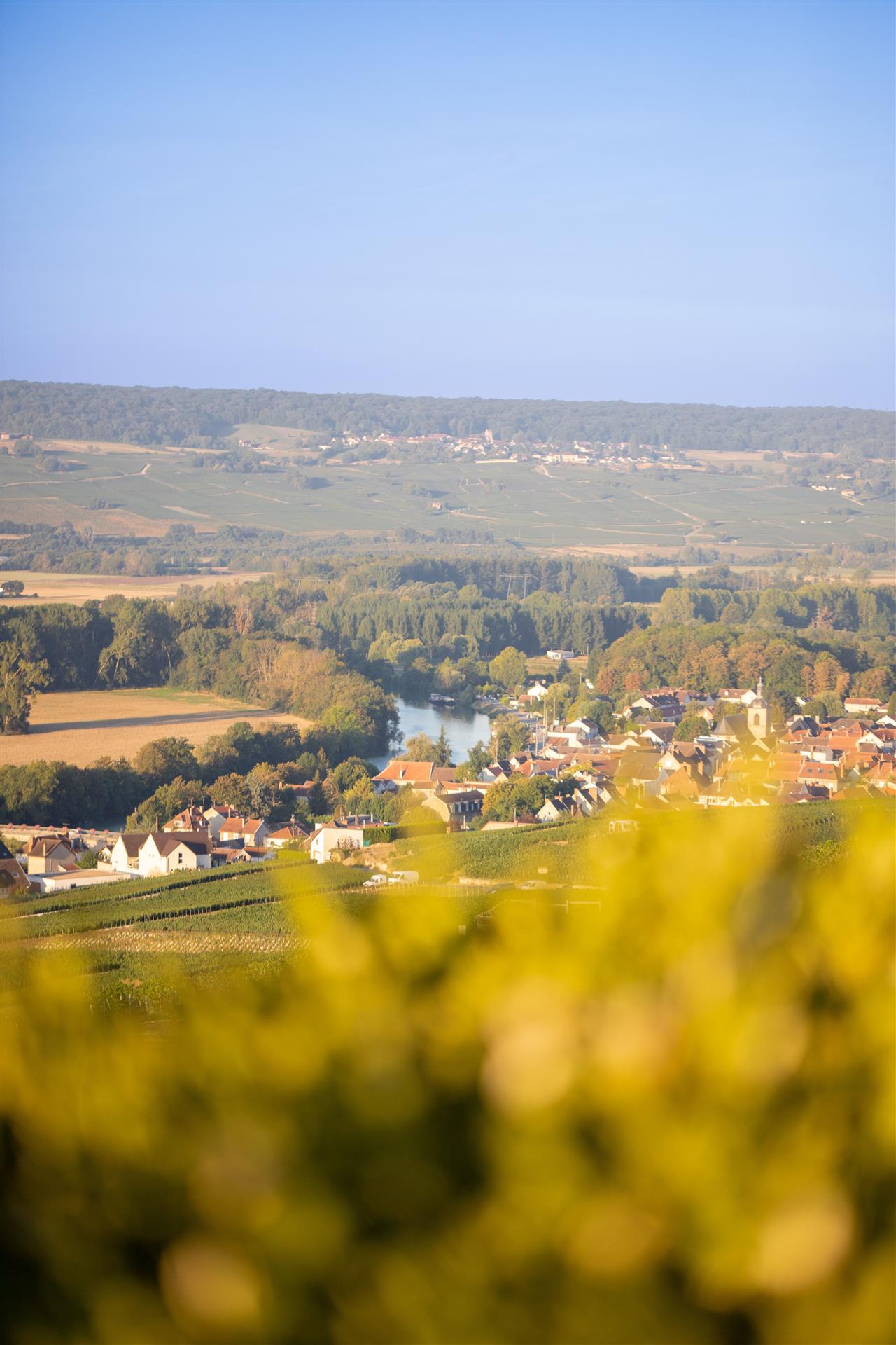Hautvillers---Point-de-vue--2--min