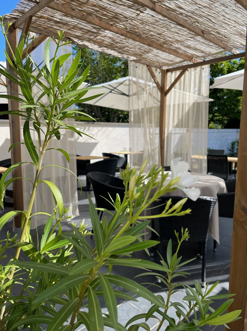 Le Cheval Blanc, Giffaumont-Champaubert - photo 6