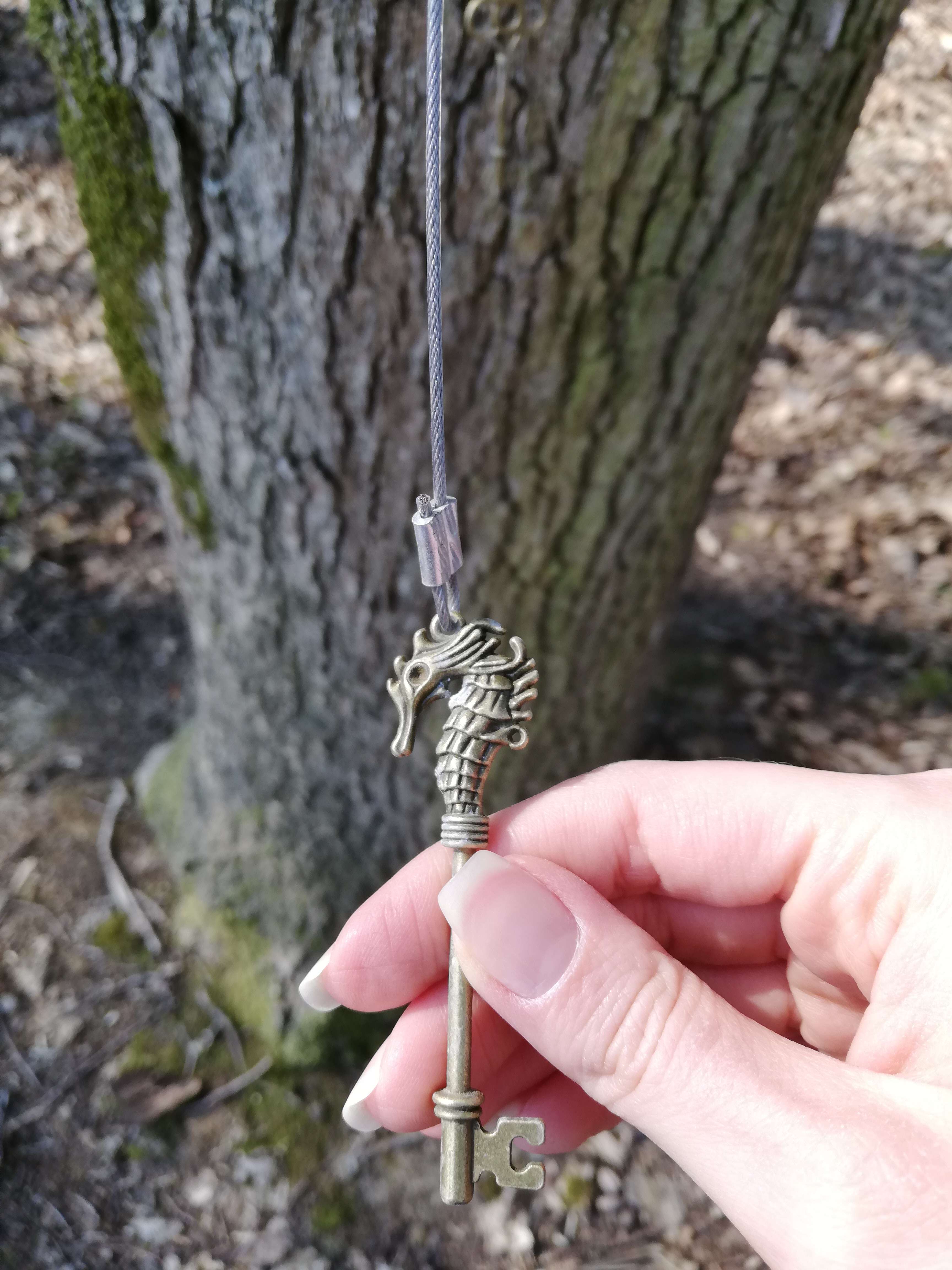 Escape Game - La Dame du Lac