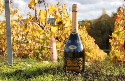 champagne-r-renaudin-moussy-espiegle