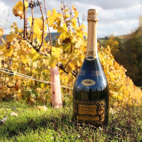 champagne-r-renaudin-moussy-espiegle