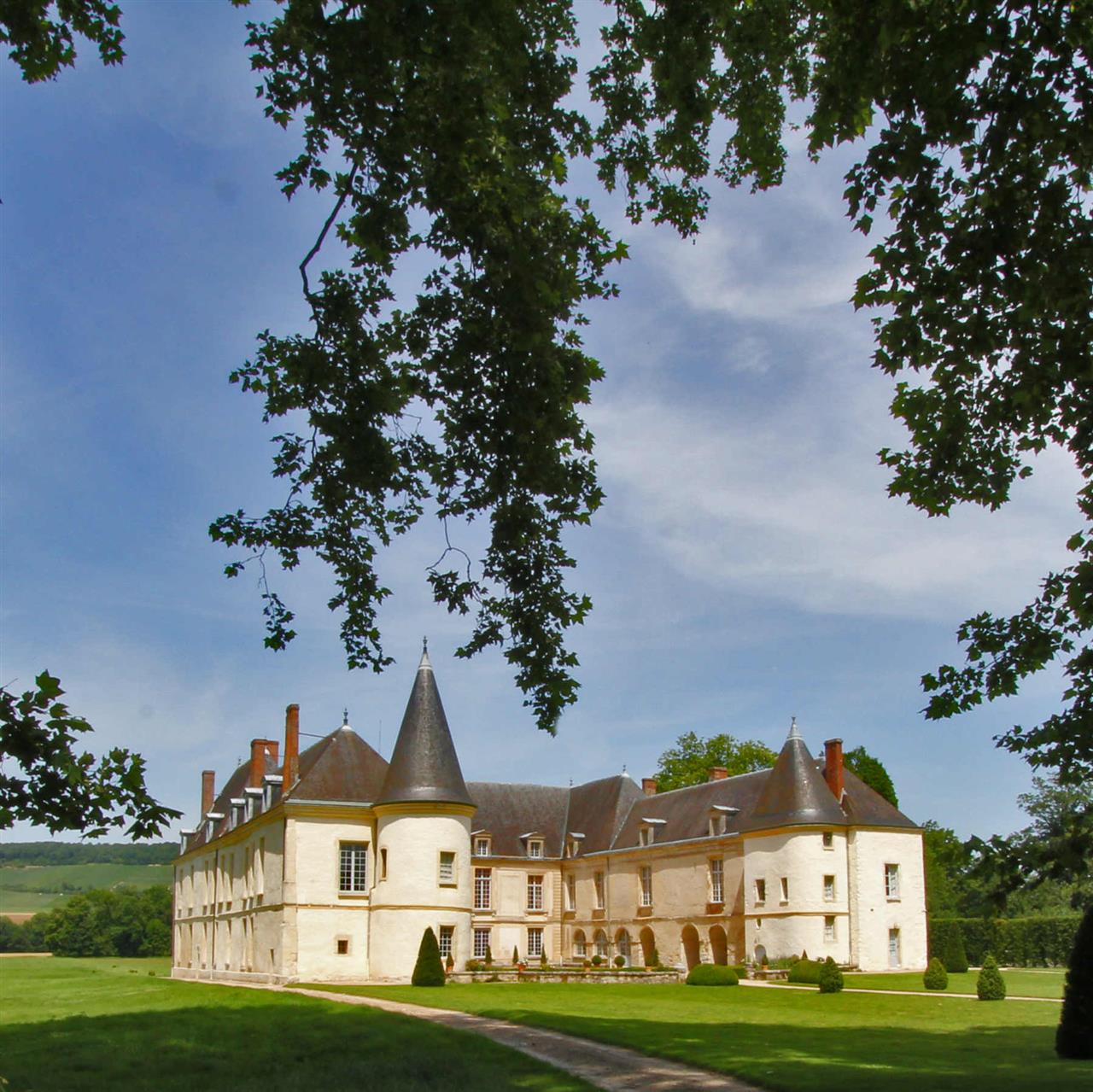 Château de Condé sous les frondaisons