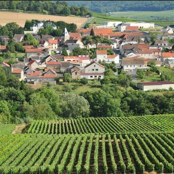 La Loge de Vigne - Coeur de la Vallée