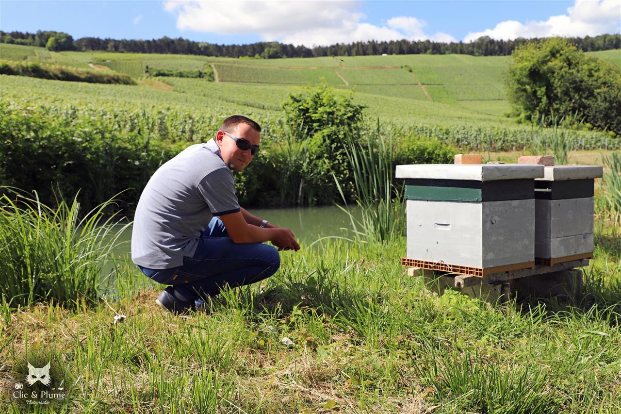 Champagne Robert Allait