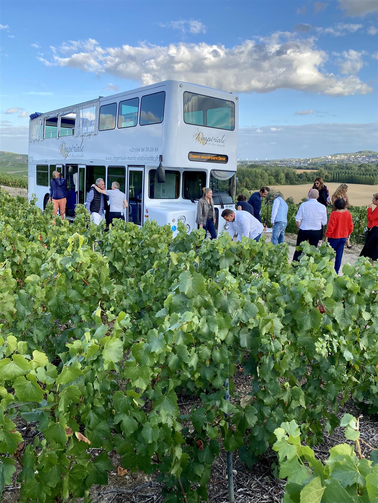 L'impériale dans les vignes
