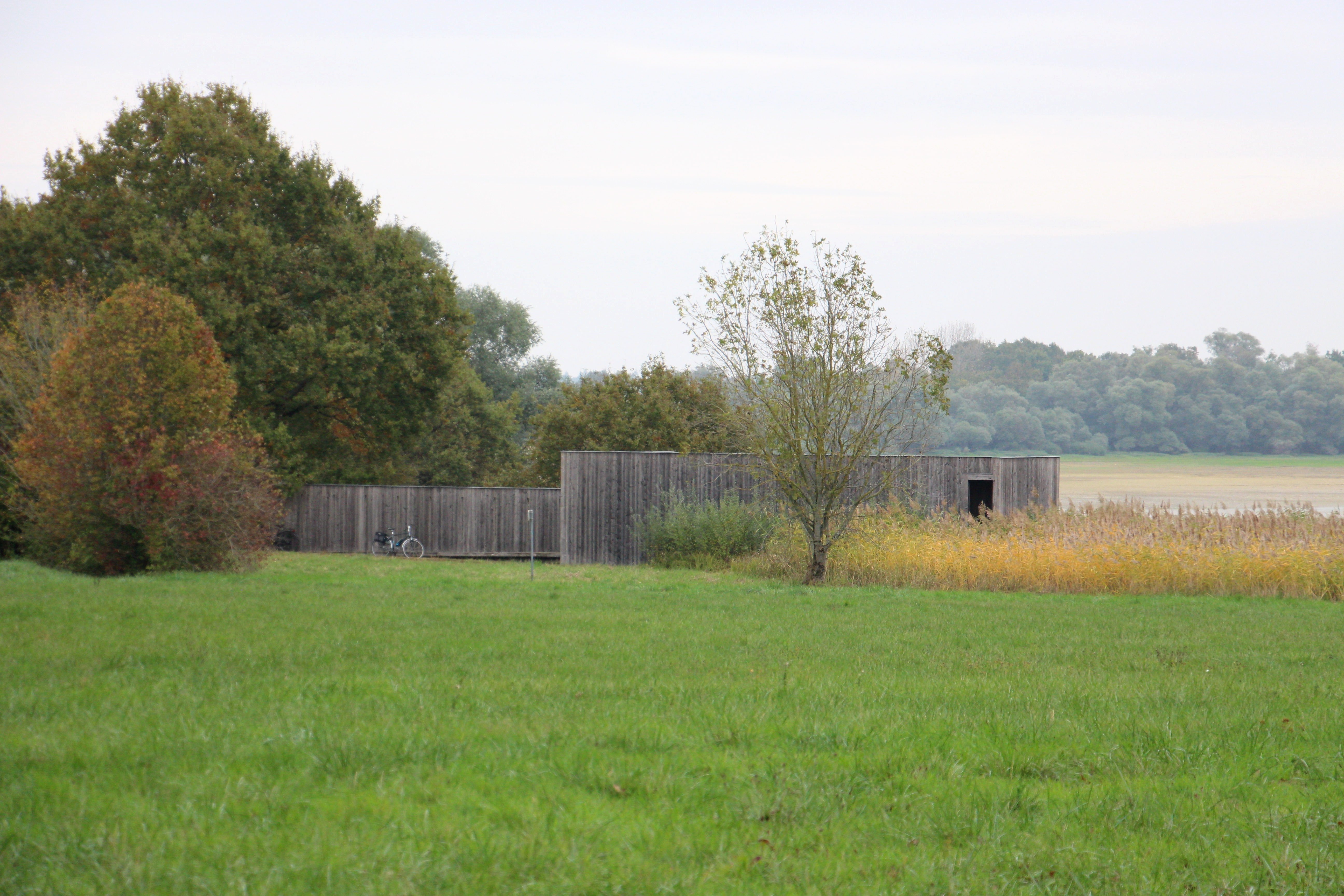 Observatoire ornithologique de la Presqu'île de Champaubert — photo 3