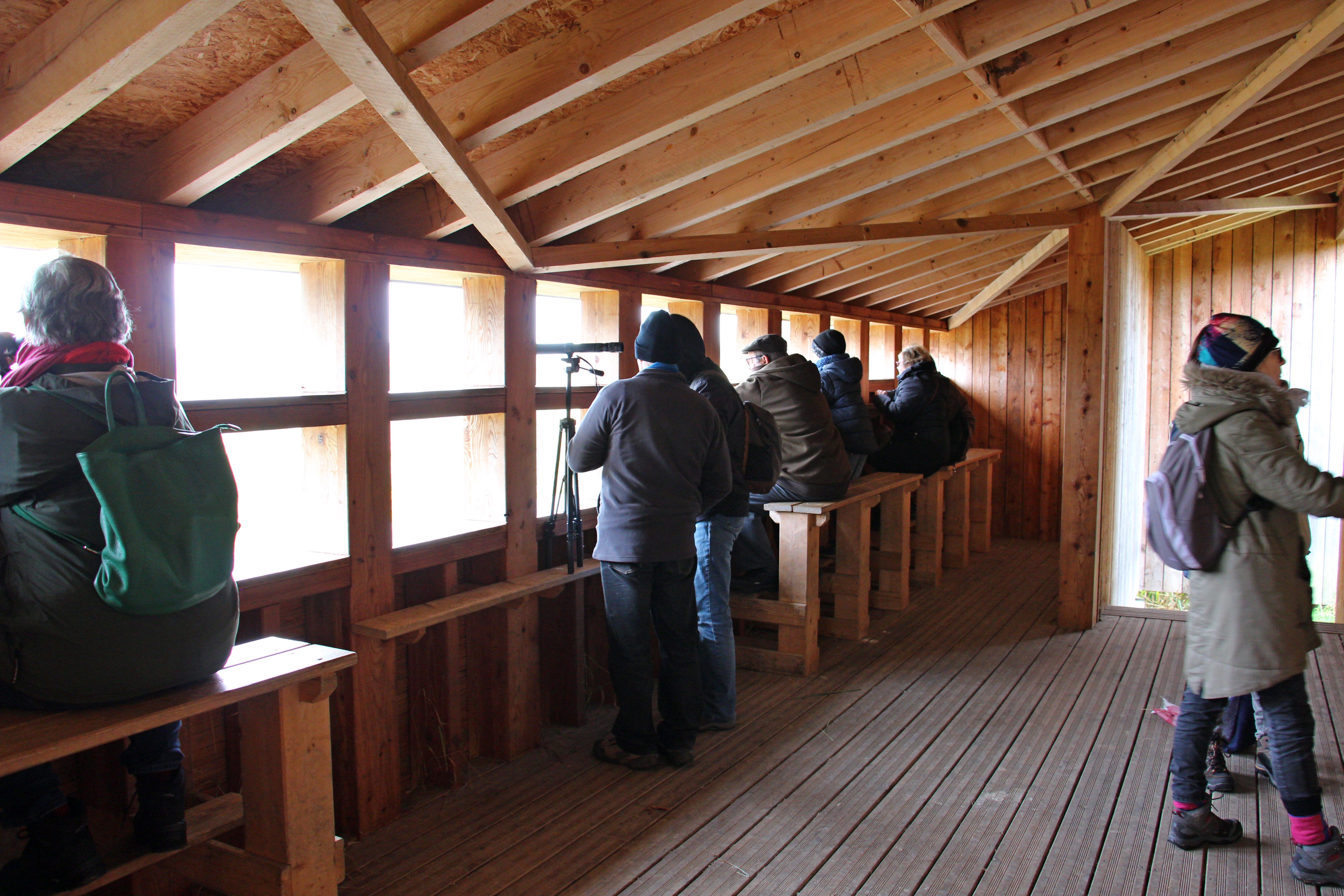 Observatoire ornithologique de la Presqu'île de Champaubert