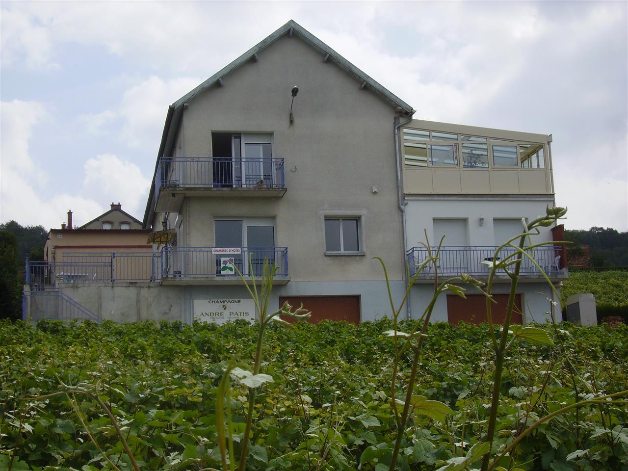 IMGP-8-les-violettes