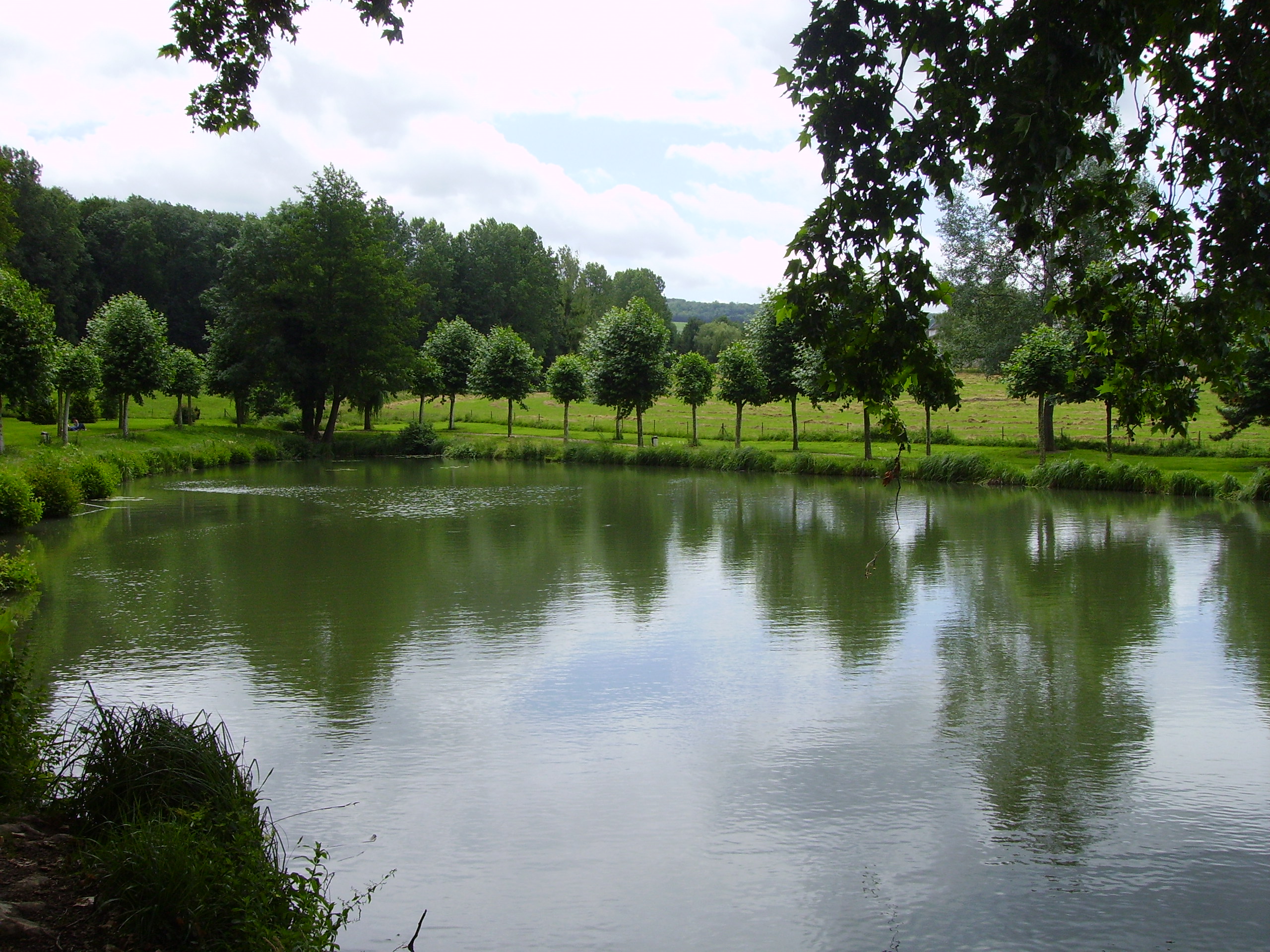 Pêche à l'étang du Château  avec la Société de pêche La Vandoise