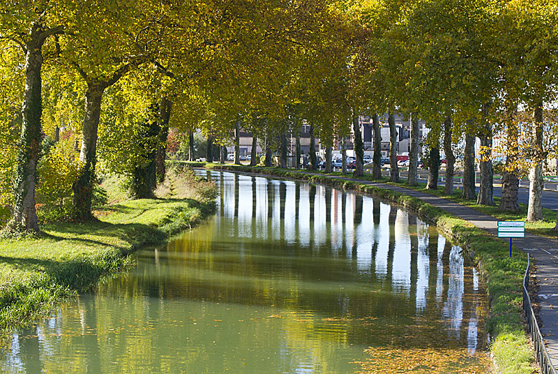 Saint-Dizier au fil de l'eau