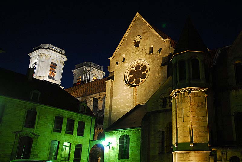 Cathédrale Saint-Mammès, Langres - photo 13