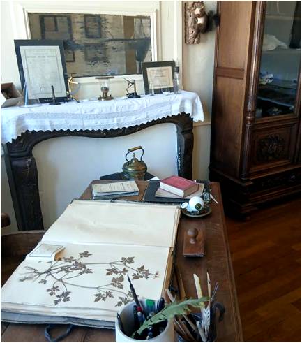 Cabinet de Curiosités